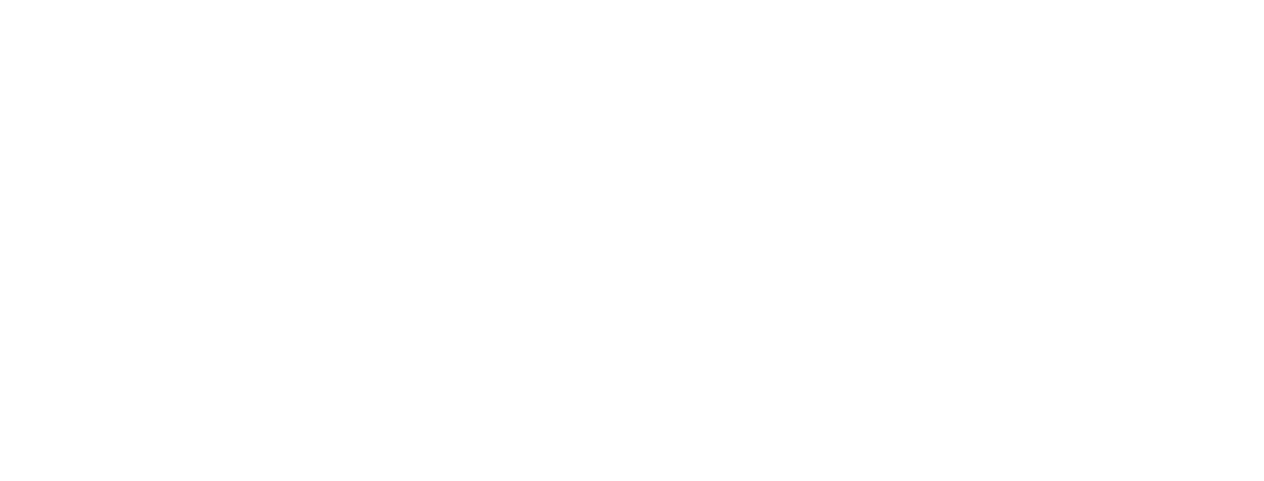 specialist.travel logo
